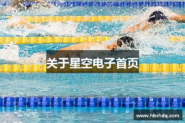 关于星空电子首页